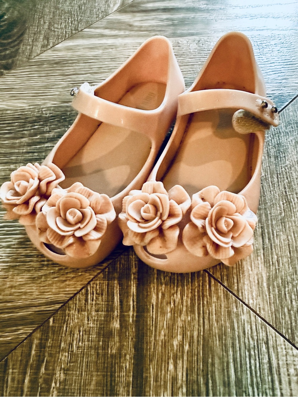 Mini Melissa 7c Ultra Girl Garden Spring Flowers Pink Mary Jane
